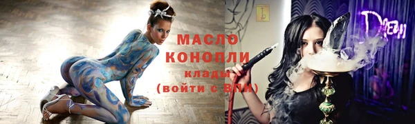 стаф Щигры