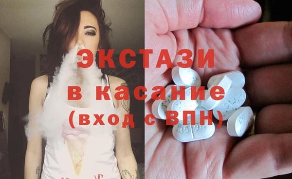 стаф Щигры