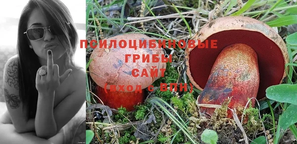 PSILOCYBIN Щёлкино