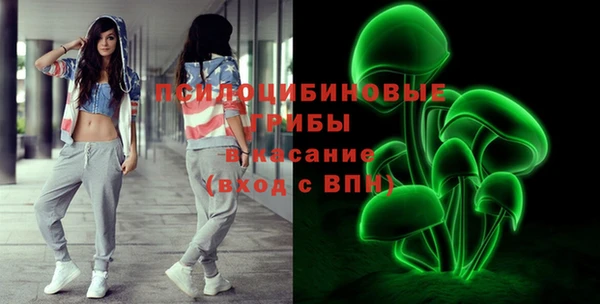 герыч Козловка