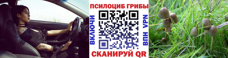 ссылка на мегу как войти Братск Псилоцибиновые грибы GOLDEN TEACHER