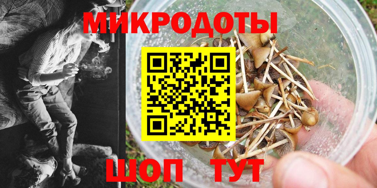 Братск  где можно купить   Вход с VPN  Галлюциногенные грибы мухоморы 