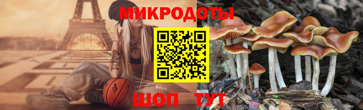 Галлюциногенные грибы Psilocybine cubensis  Братск  Псилоцибиновые грибы MAGIC MUSHROOMS 