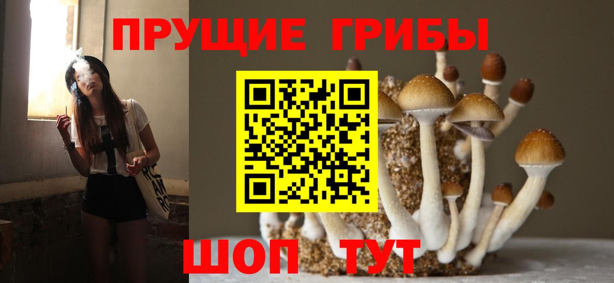 Псилоцибиновые грибы мухоморы Братск